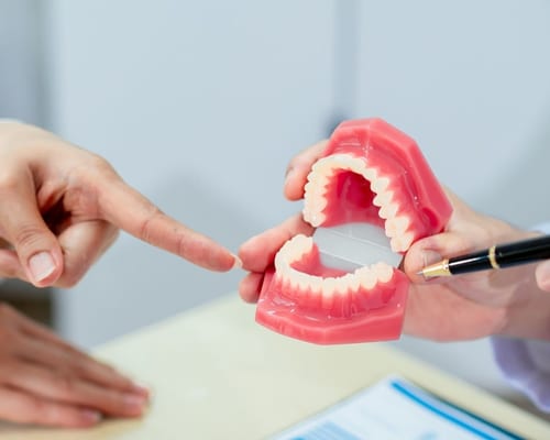 Dental hygiene and preventative care